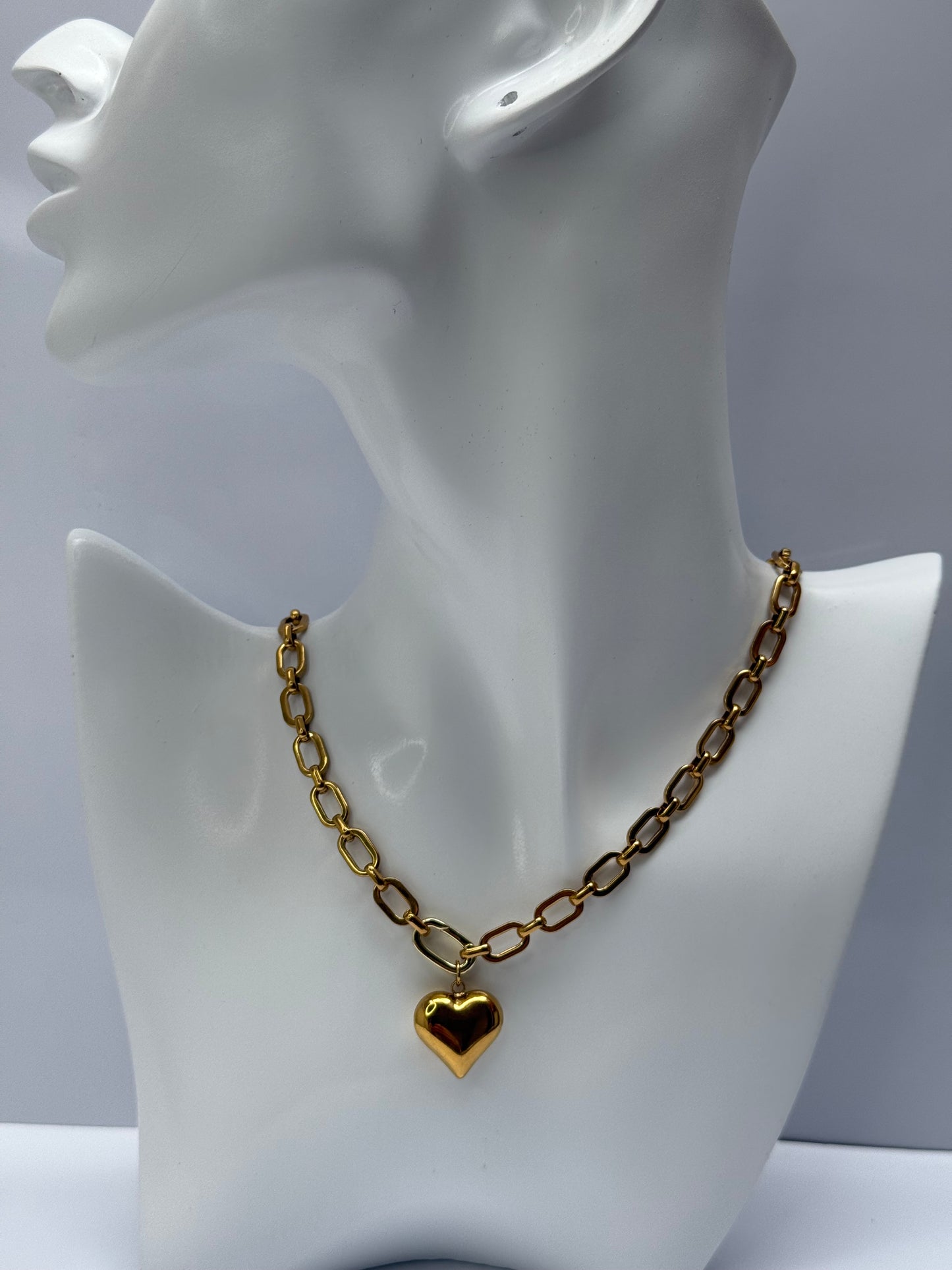 Stainless steel ketting